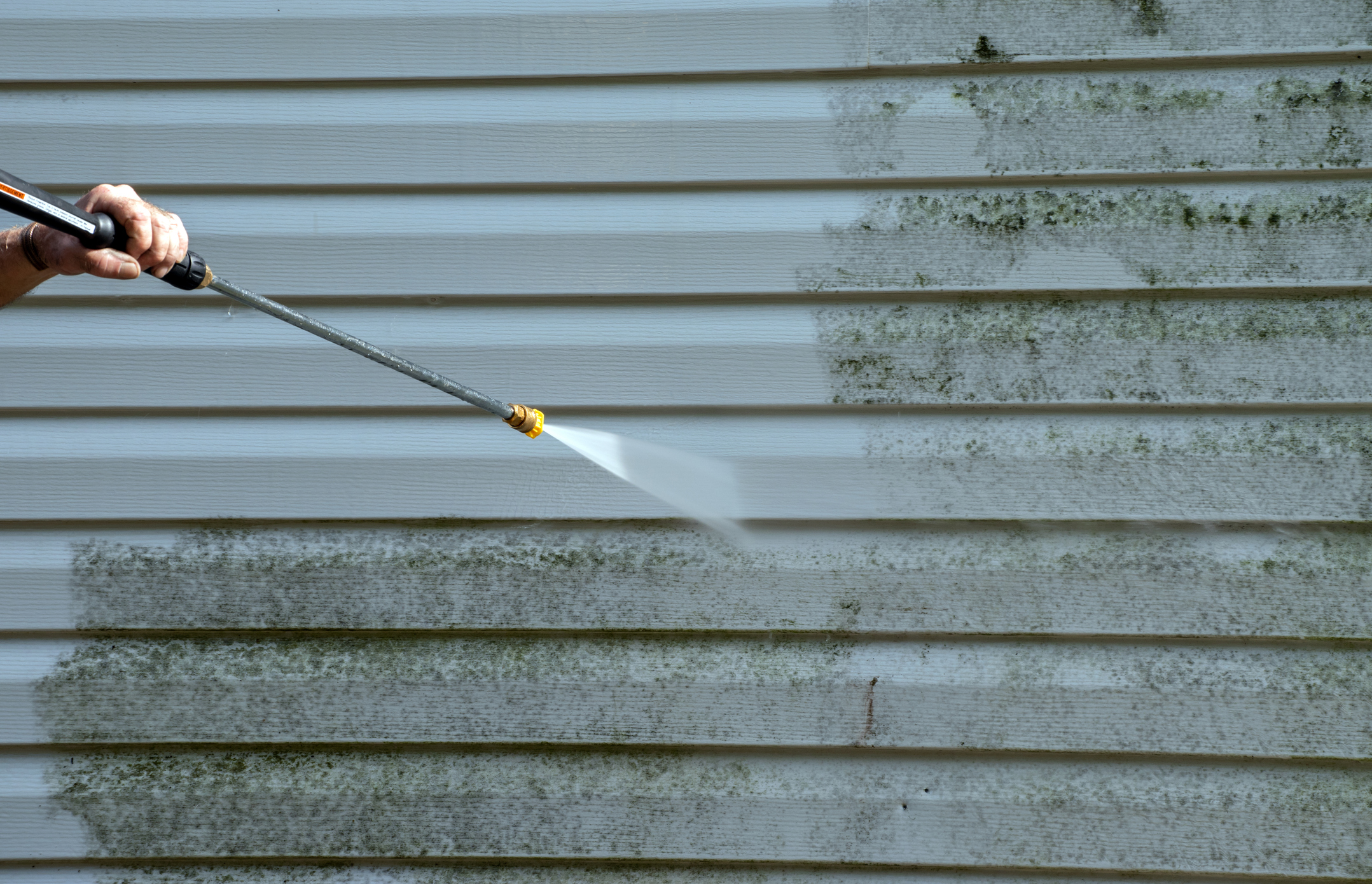 Cleaning the mold from the vinyl siding on this exterior wall is a job for the handyman or the professional.